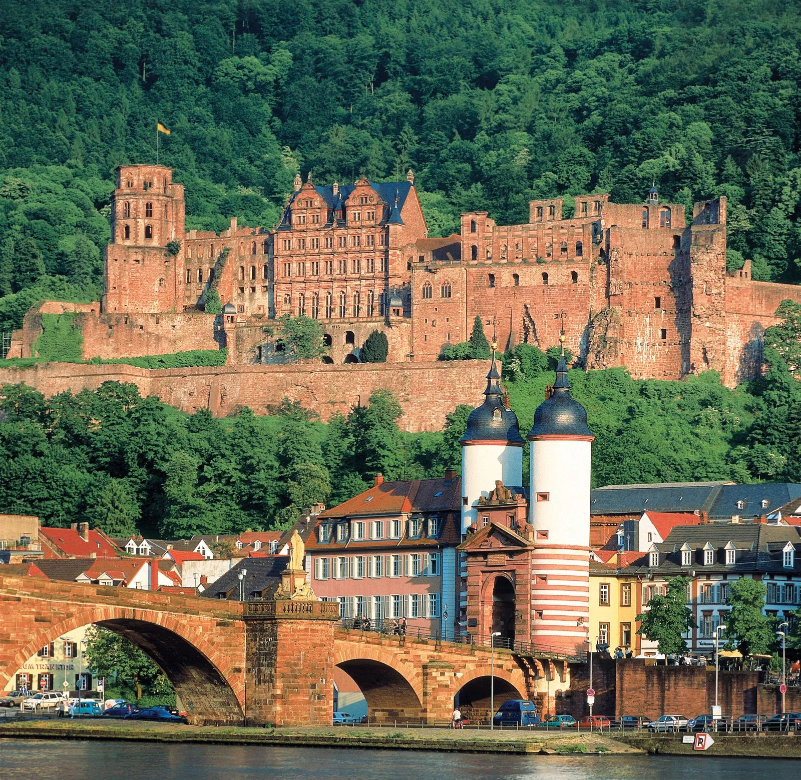 Heidelberg University